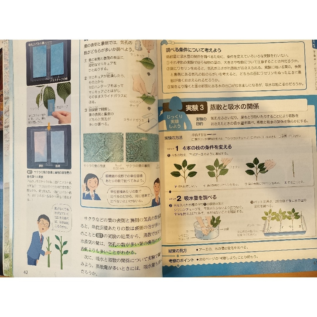 東京書籍(トウキョウショセキ)の中1　中2　中学科学　新編　新しい科学　中学1年　中学2年　東京書籍　テキスト エンタメ/ホビーの本(語学/参考書)の商品写真