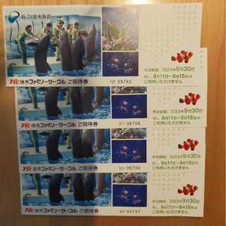 新江ノ島水族館　招待券　4枚(水族館)