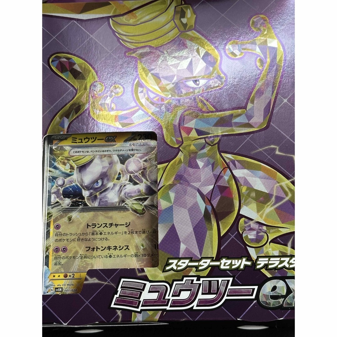 ポケモンカードレイジングサーフ1BOX分30パックはじめようキャンペーン2パック