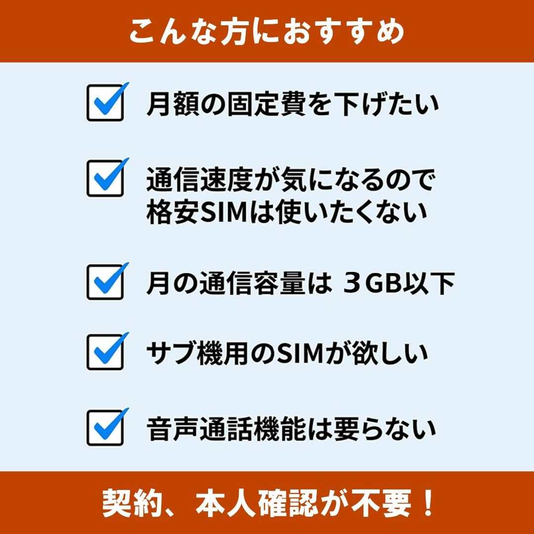 eSIM 3GB 100回線 1