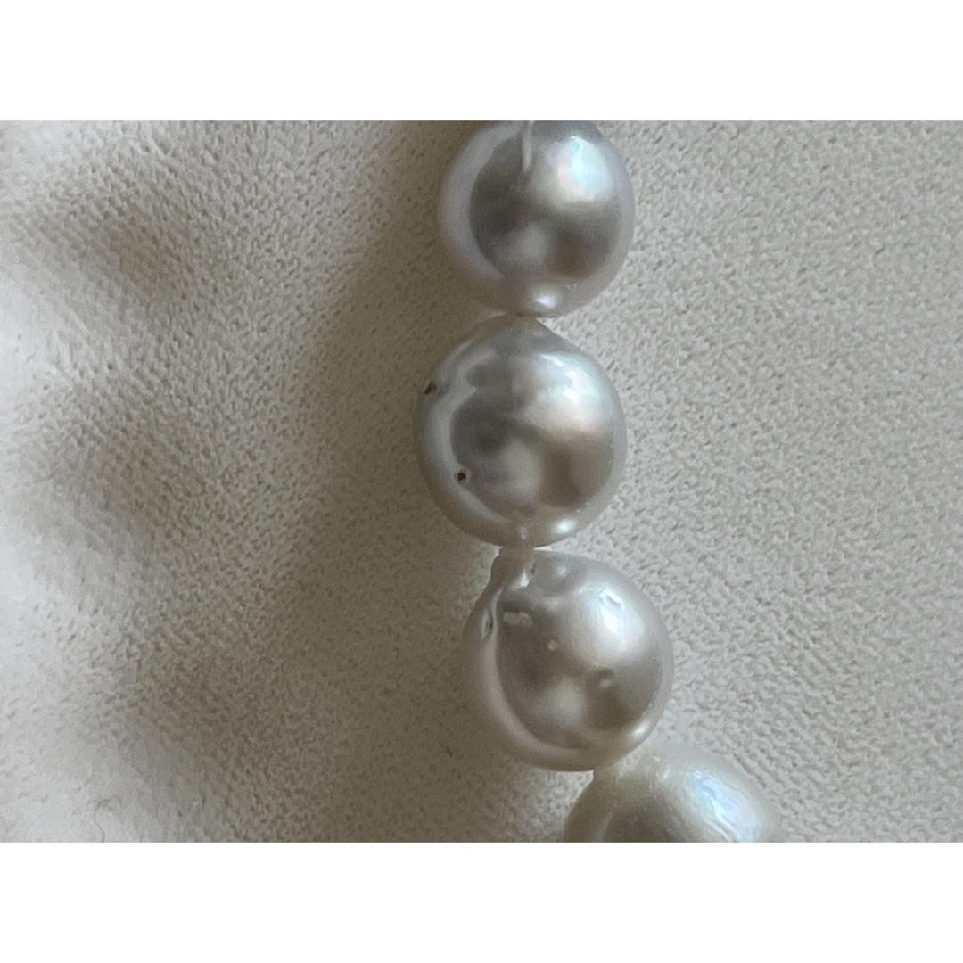 TASAKI(タサキ)のシロチョウ養殖真珠　パール　ネックレス　白蝶 レディースのアクセサリー(ネックレス)の商品写真
