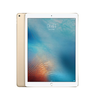 iPad - iPad Pro 256GB ML2N2J/A キーボード付き　12.9インチ