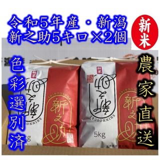 新米　令和5年産　新潟　新之助　白米5kg × 2個★農家直送★色彩選別済07(米/穀物)