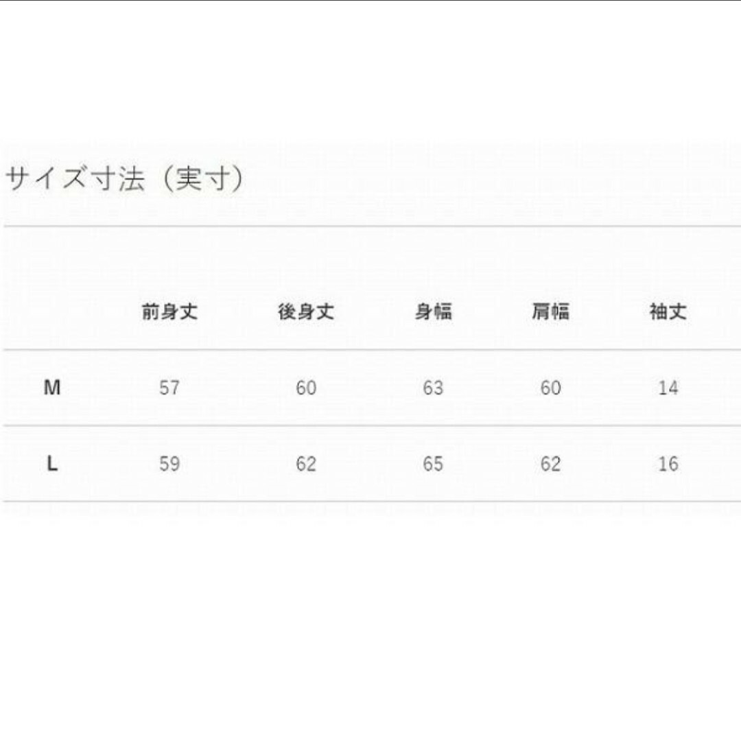 CANTERBURY(カンタベリー)のカンタベリー　ラガーシャツ　レディース　半袖　M スポーツ/アウトドアのスポーツ/アウトドア その他(ラグビー)の商品写真