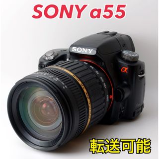 ☆300mm超望遠&手振れ補正☆SONY ソニー α300 ダブルズーム-