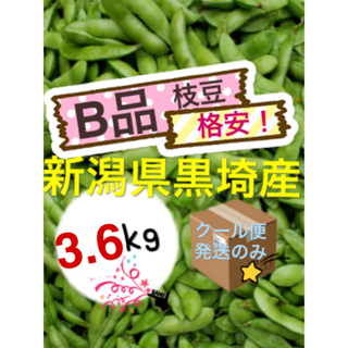 67肴豆【B品3.6kg】農家直送　新潟県黒埼産　えだまめ(野菜)
