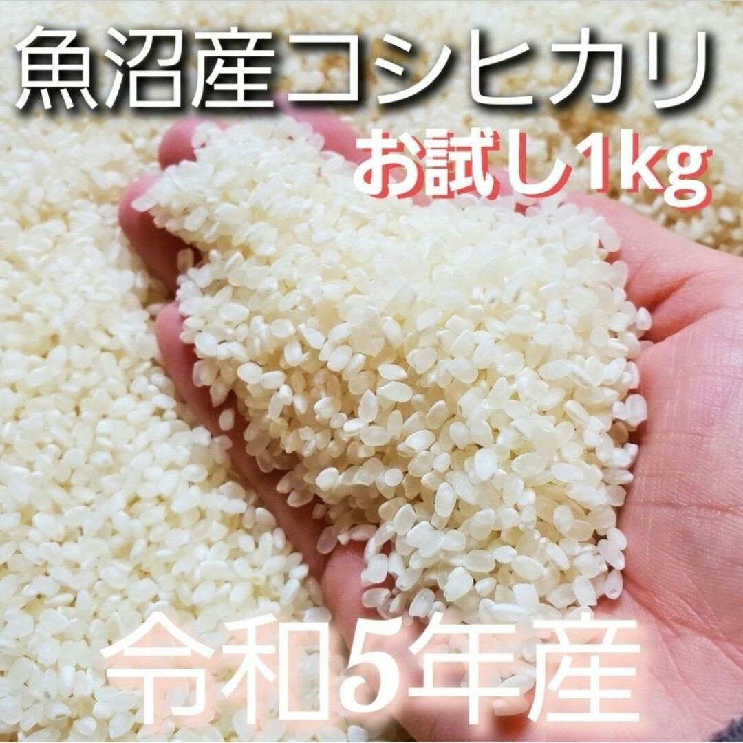 お試しセール!!☆ 魚沼産コシヒカリ 梱包込み1kg コシヒカリ 新潟県 食品/飲料/酒の食品(米/穀物)の商品写真