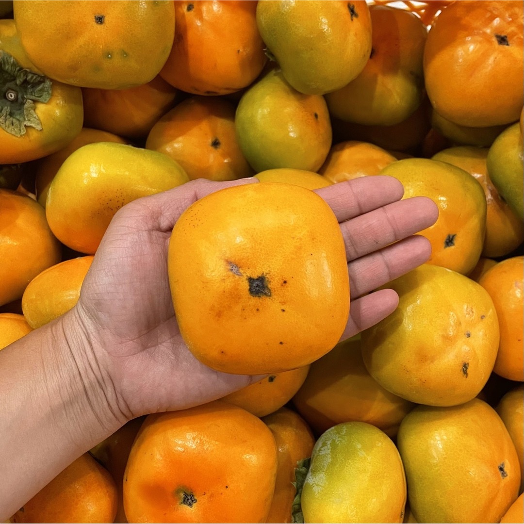 和歌山県産　種無し柿　たねなし柿　箱込み4kg以上 食品/飲料/酒の食品(フルーツ)の商品写真