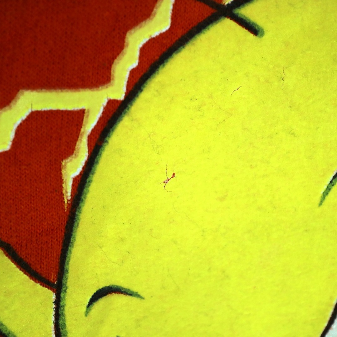 トゥイーティー スウェット ルーニー・テューンズ ハロウィーン アニメ キャラクター オレンジ (メンズ L相当) 中古 古着 O2102 メンズのトップス(スウェット)の商品写真