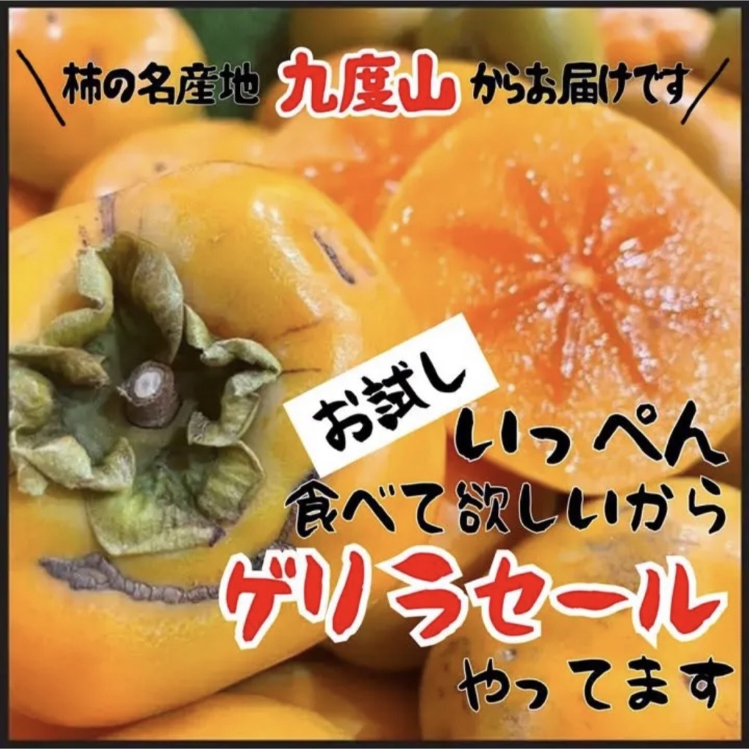 和歌山県産　種無し柿　たねなし柿　箱込み1kg以上 食品/飲料/酒の食品(フルーツ)の商品写真