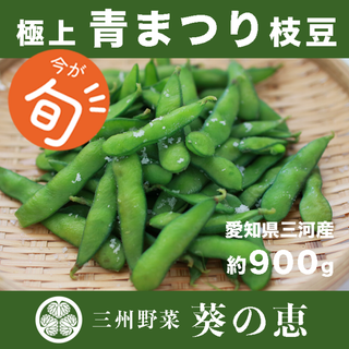 月曜発送『約９００g』A品 青まつり 枝豆 えだまめ 愛知県産 (野菜)