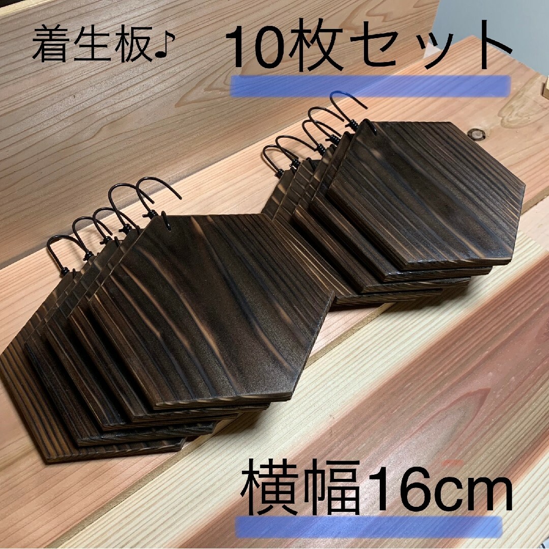 【10枚セット】横幅16cm　着生板　ビカクシダ　板付　杉板 　コウモリラン