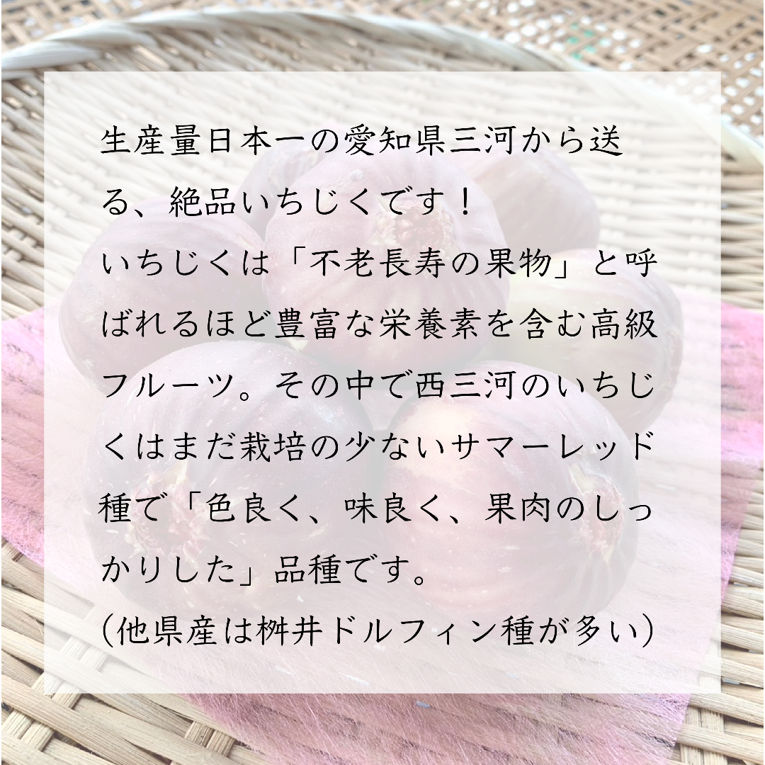翌日クール便 箱込約２㌔ いちじく サマーレッド 家庭用 業務用 イチヂク  食品/飲料/酒の食品(フルーツ)の商品写真