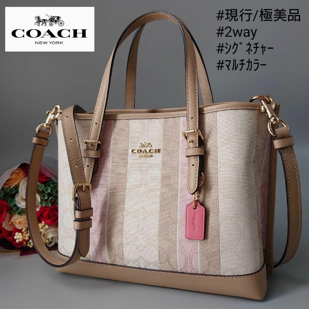 極美品 コーチ シグネチャー ストライプ モリー トート 25 マルチカラー-