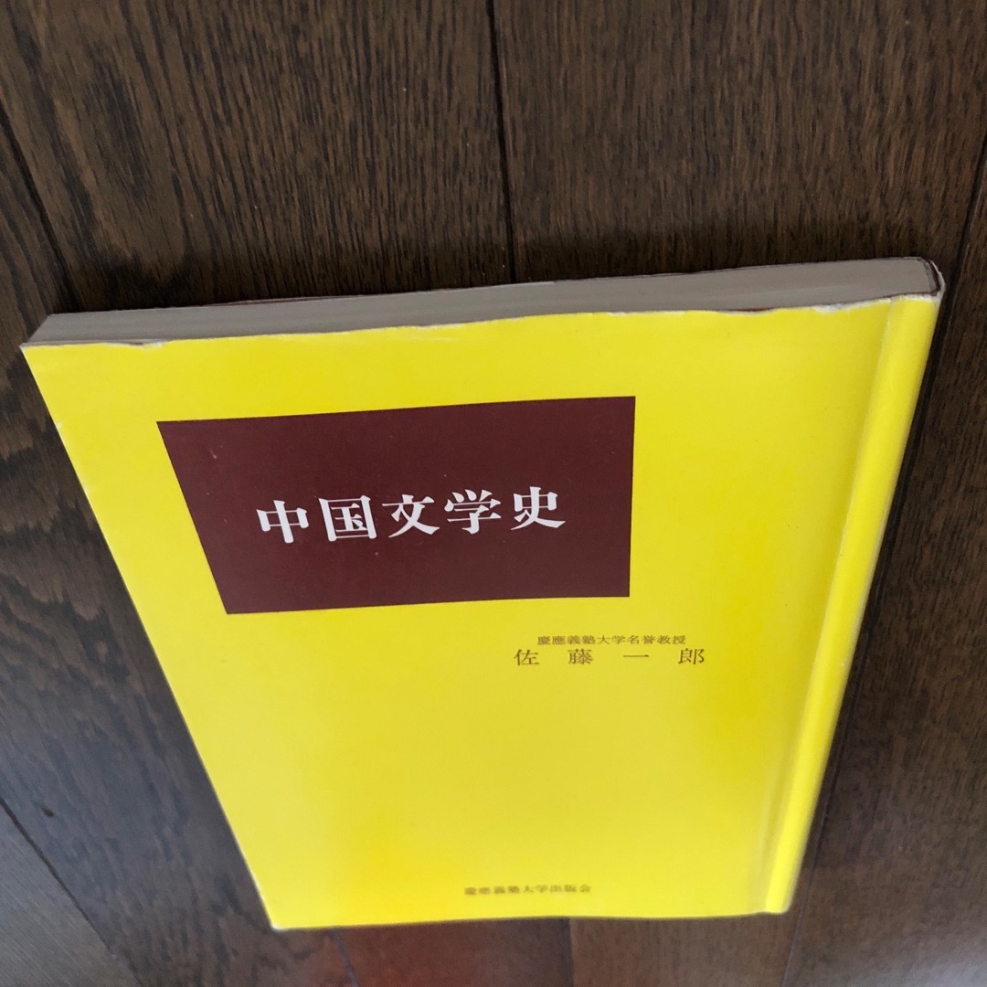 【送料込】中国文学史 改訂 慶應義塾大学出版社 エンタメ/ホビーの本(文学/小説)の商品写真