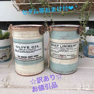 リメイク缶216☆多肉植物☆寄せ植え