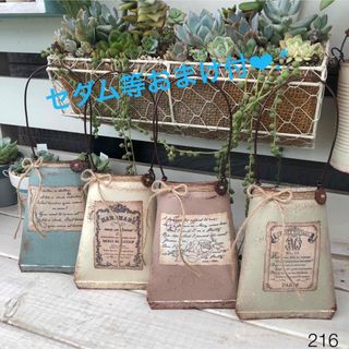 リメイク缶216☆多肉植物☆寄せ植え-