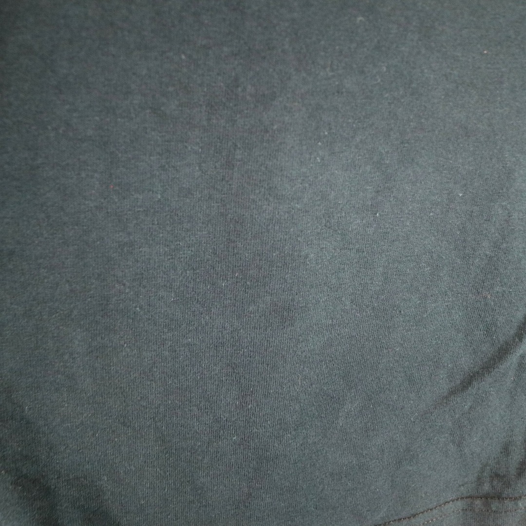 Disney(ディズニー)の00年代 Disney ディズニー LION KING ライオンキング ブロードウェイ ミュージカル 半袖Ｔシャツ ムービーT (メンズ L) 中古 古着 O2462 メンズのトップス(Tシャツ/カットソー(半袖/袖なし))の商品写真