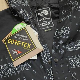 THE NORTH FACE - L 新品 韓国 ノースフェイス マウンテンジャケット ...