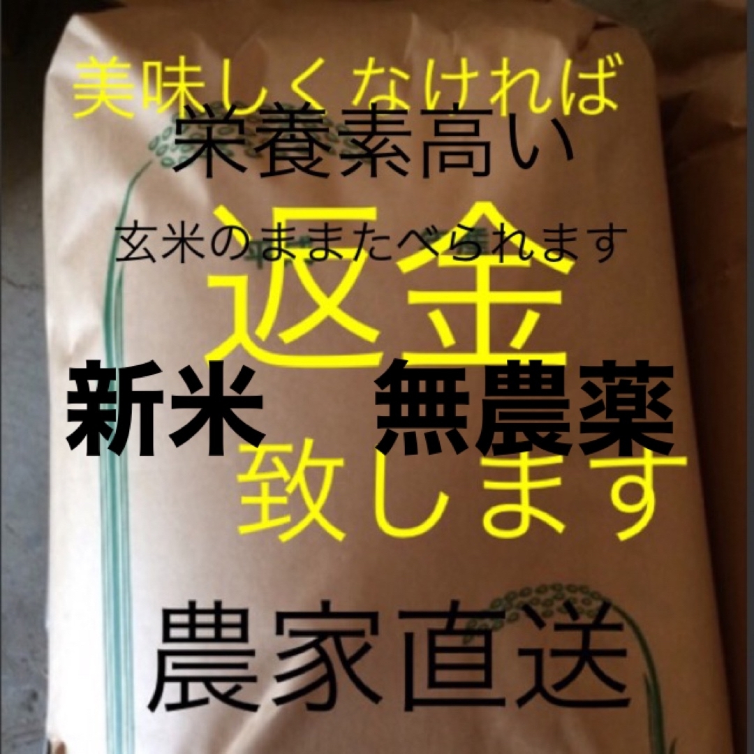 新米　無農薬　純こしひかり30㎏ 玄米 食品/飲料/酒の食品(米/穀物)の商品写真