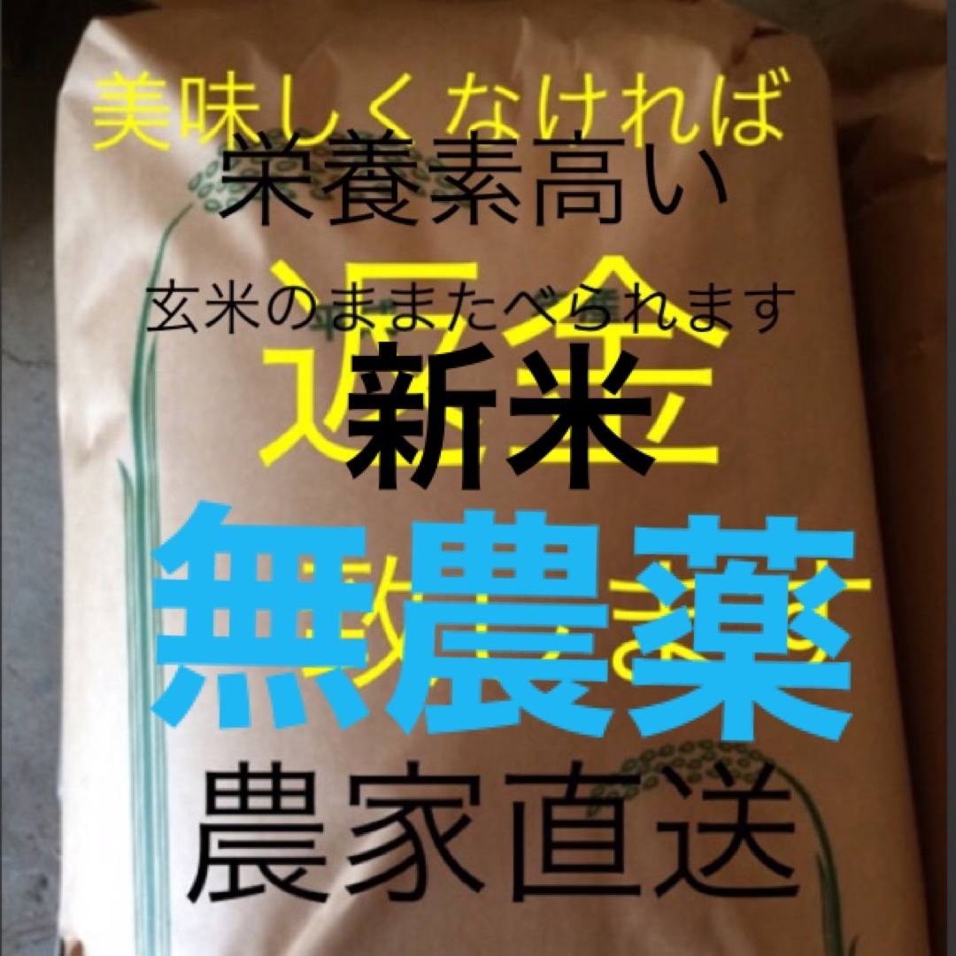 新米　無農薬　純こしひかり25㎏ 玄米 食品/飲料/酒の食品(米/穀物)の商品写真