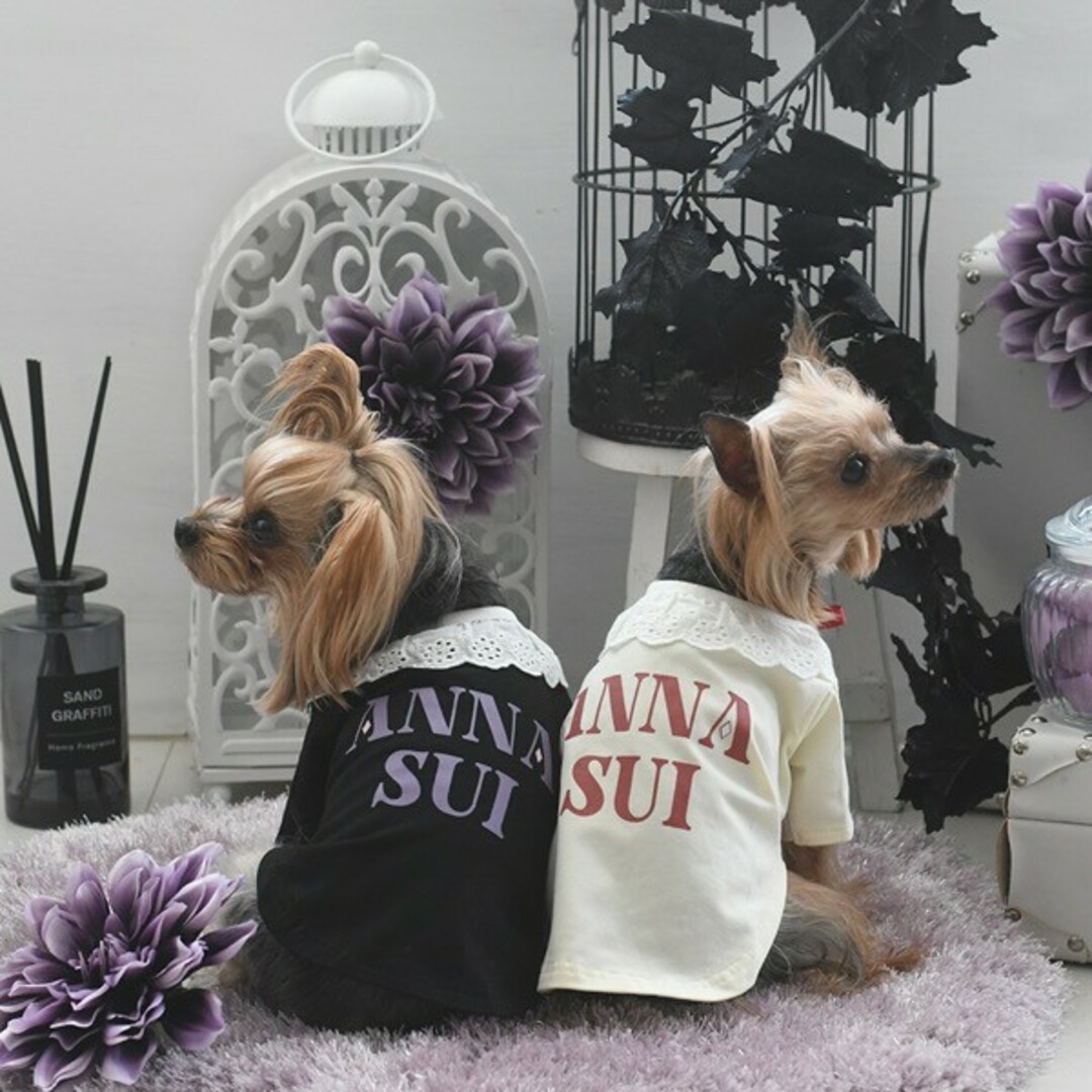 ANNA SUI(アナスイ)のANNA SUI　襟付きロゴTシャツ その他のペット用品(犬)の商品写真