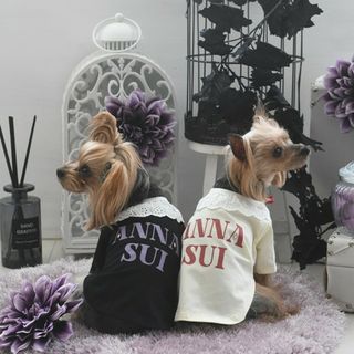 アナスイ(ANNA SUI)のANNA SUI　襟付きロゴTシャツ(犬)