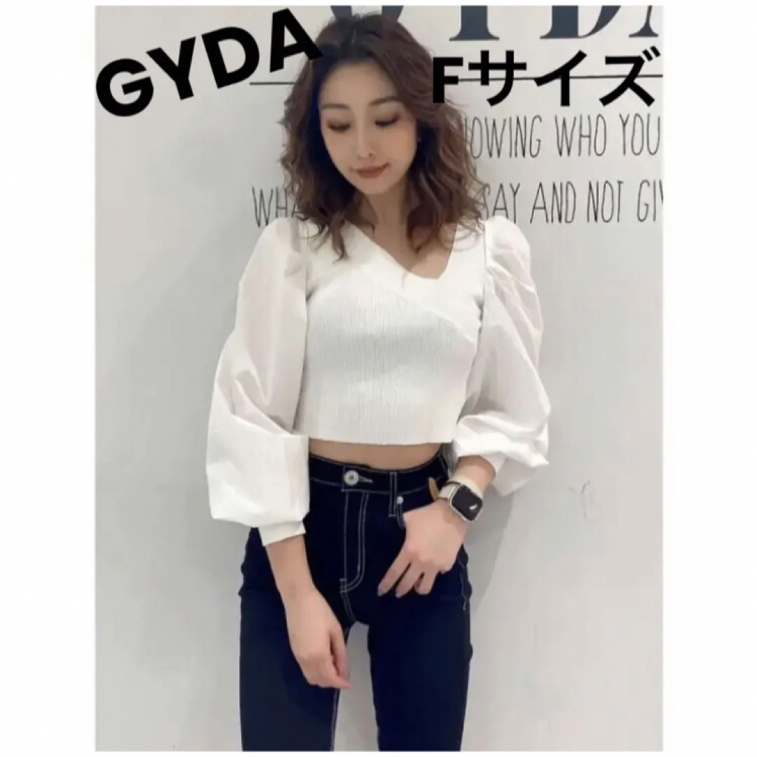 GYDA(ジェイダ)のGYDA ジェイダ ファブリックスリーブニット ホワイト フリーサイズ レディースのトップス(カットソー(長袖/七分))の商品写真