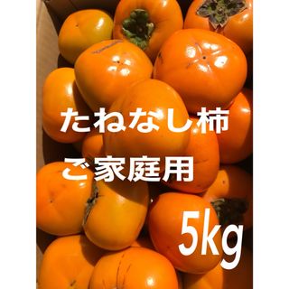 和歌山県産　たねなし柿　5kg (フルーツ)