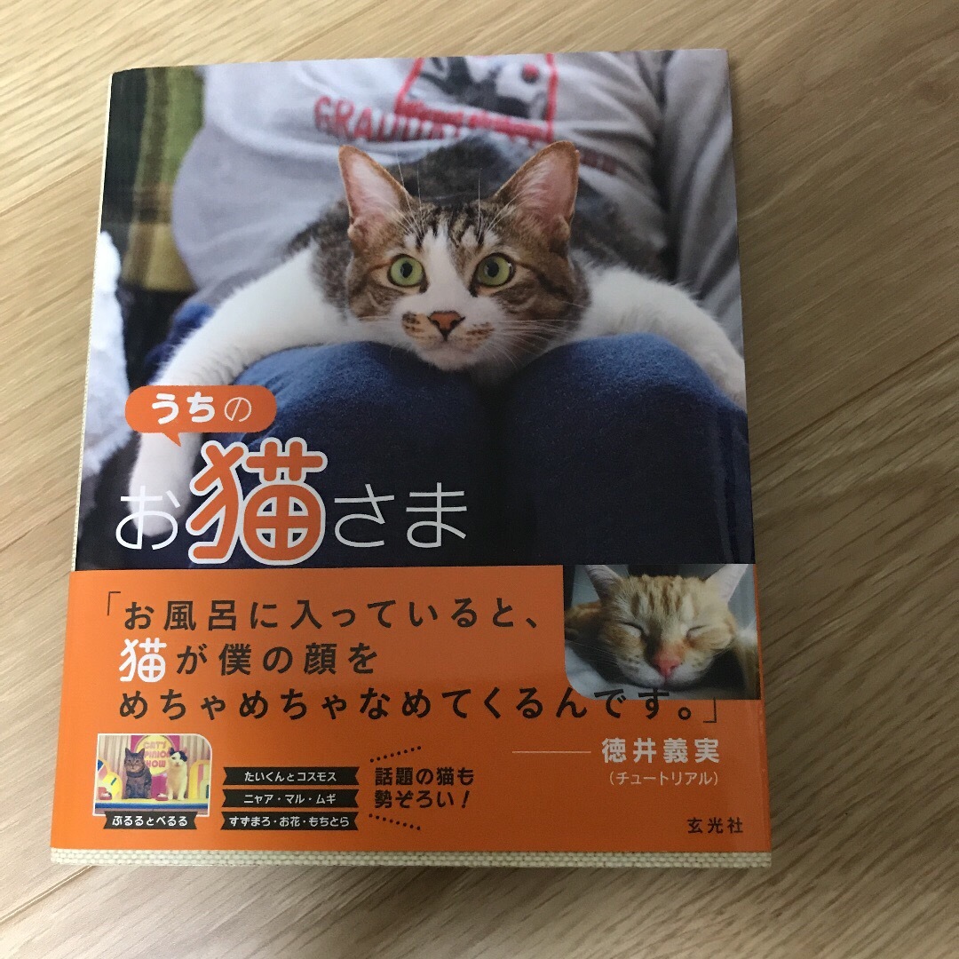 うちのお猫さま エンタメ/ホビーの本(絵本/児童書)の商品写真