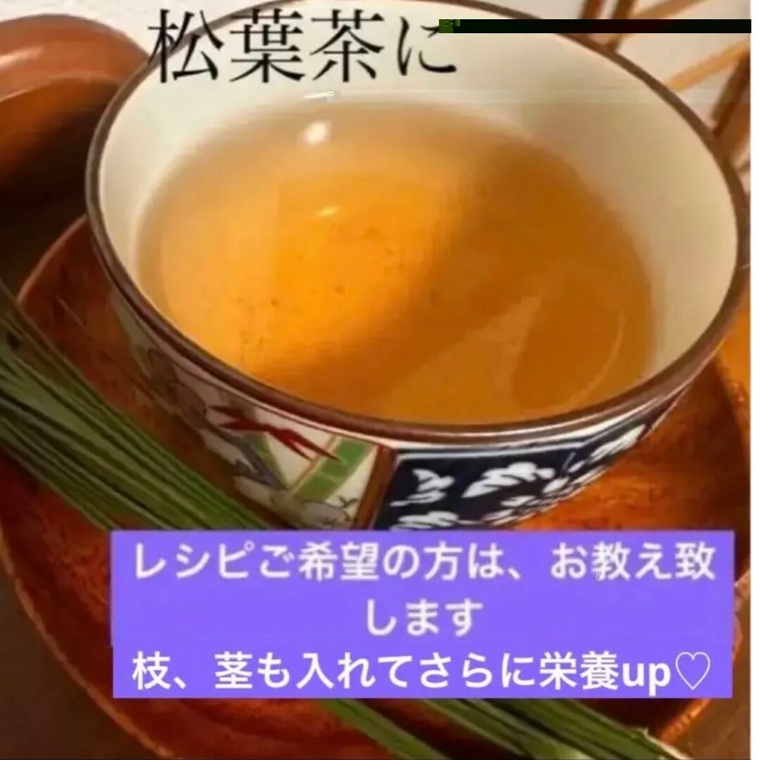 ルル様専用です赤松松葉 松の葉 松葉茶松葉ジュースなどに、樹液たっぷり。やわらか 食品/飲料/酒の食品(野菜)の商品写真