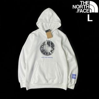 THE NORTH FACE - ノースフェイス パーカー グラフィック US限定(L)白