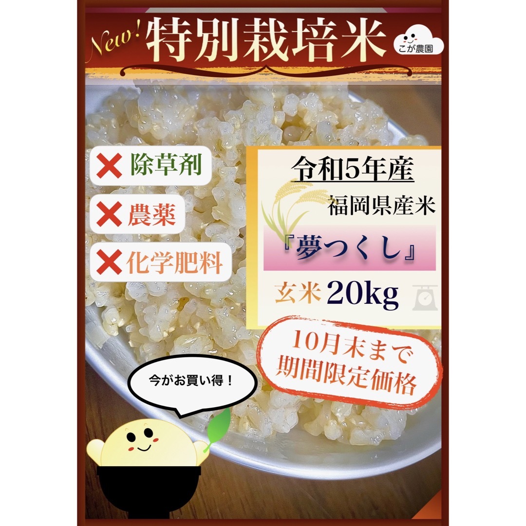 抵抗力準自然米　福岡県産「夢つくし」令和５年産　玄米20kg  発芽玄米におすすめ