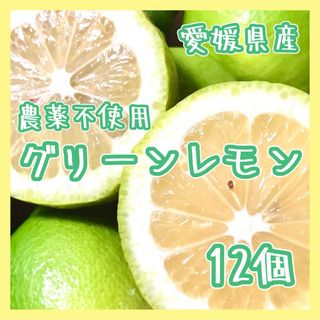 愛媛県産 農薬不使用 グリーンレモン12個 ②国産レモン 果物 国産(フルーツ)