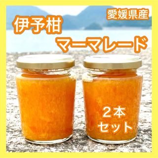 愛媛県産 レモン12個&伊予柑マーマレード 2本セット果物 ジャム 国産(缶詰/瓶詰)