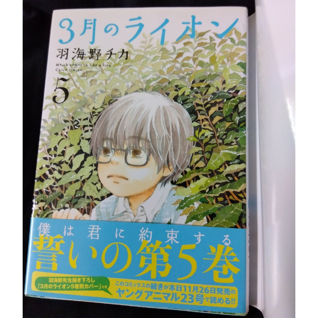 3月のライオン　羽海野チカ　5巻　カバー　ヤングアニマル　付録