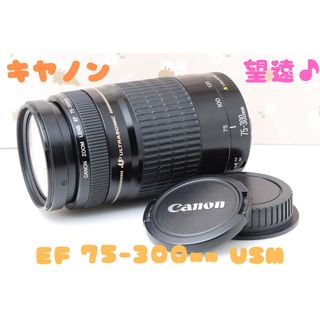 Canon - 美品❤️望遠レンズ★Canon EF 75-300mm F4.0-5.6 USM