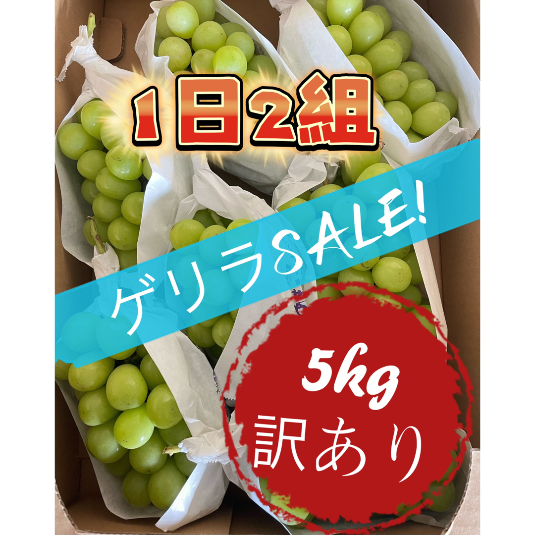 食品果物　葡萄　ぶどう　ブドウ　シャインマスカット　訳あり　大容量　5kg セール