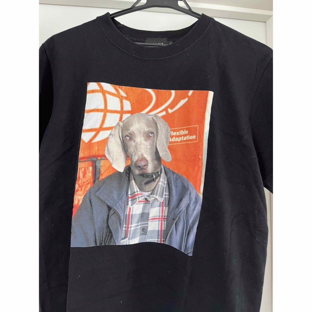 BEAMS(ビームス)のビームス  beams  犬　プリント　Tシャツ メンズのトップス(Tシャツ/カットソー(半袖/袖なし))の商品写真