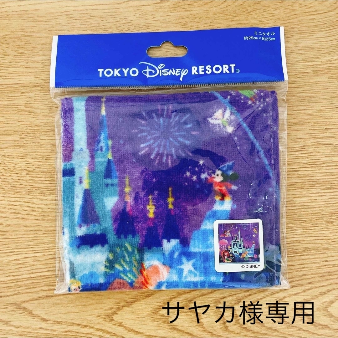 Disney(ディズニー)の【専用】ミニタオルとチケットケース　2点セット エンタメ/ホビーのおもちゃ/ぬいぐるみ(キャラクターグッズ)の商品写真