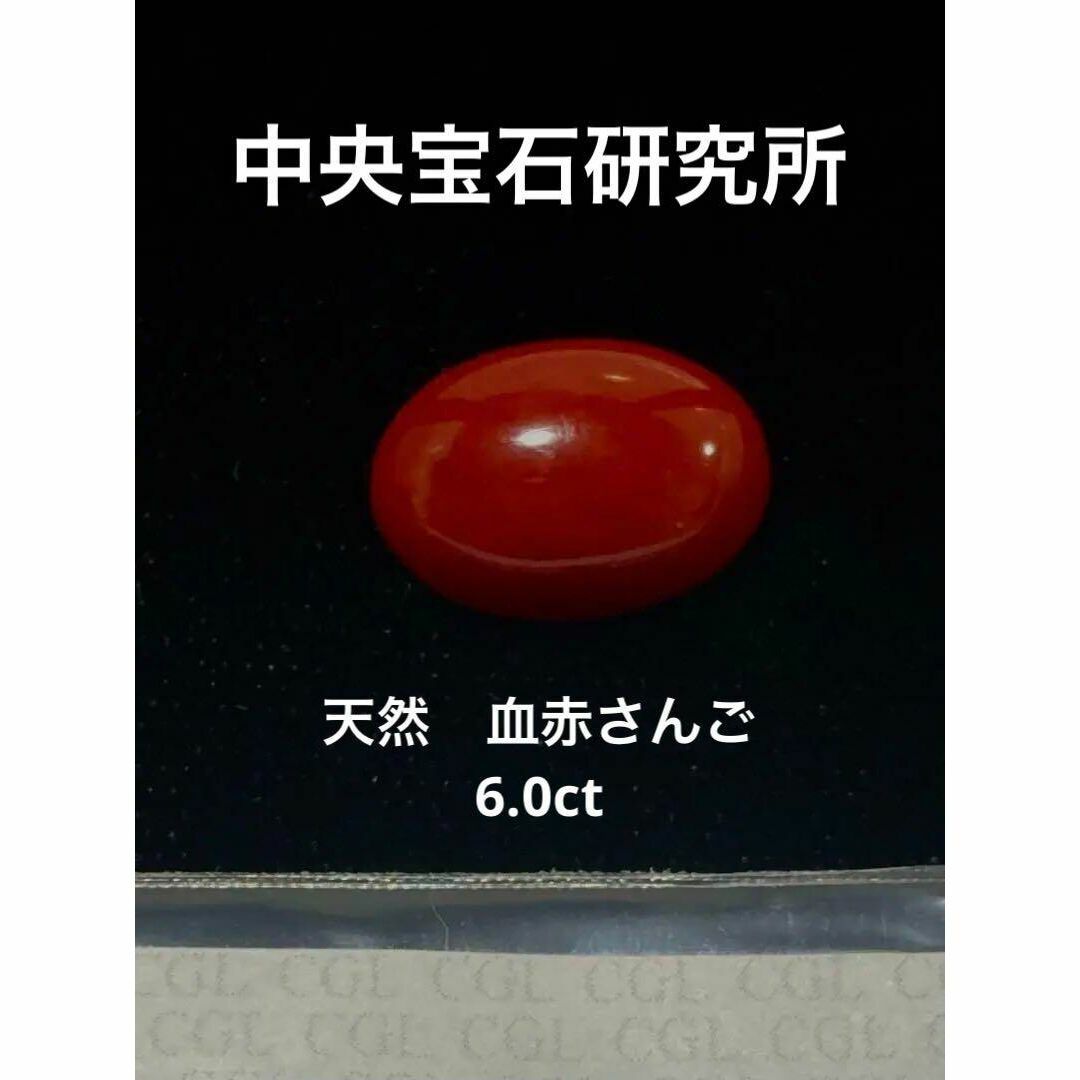 新品　宝石用天然さんご　６．０ｃｔ　中央宝石研究所ソーティング付き