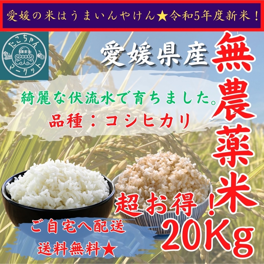 【玄米・白米選べます】愛媛県産お米　新米セール！無農薬米　令和5年度　コシヒカリ　米/穀物