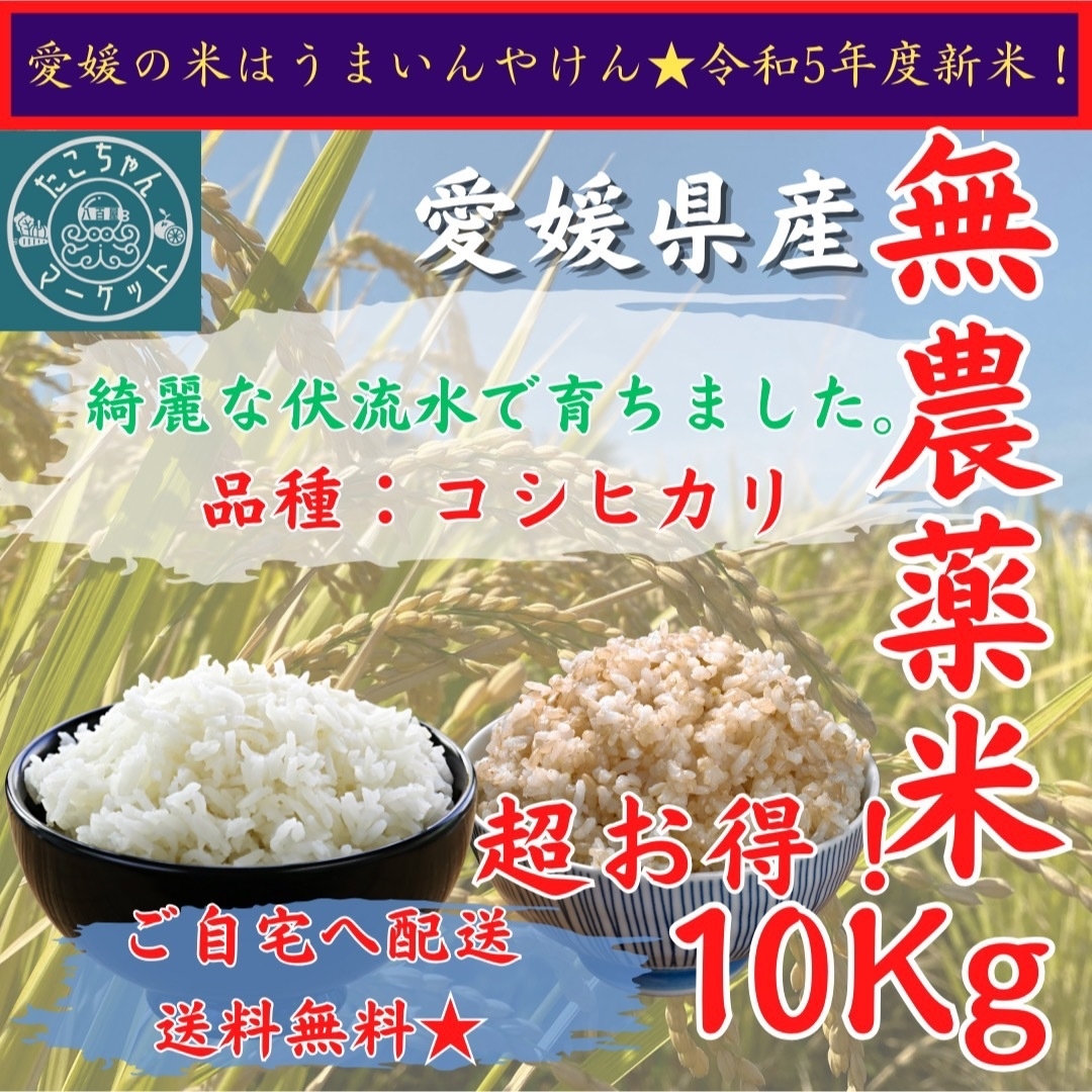 新米セール！無農薬米　令和5年度　【玄米・白米選べます】愛媛県産お米　コシヒカリ