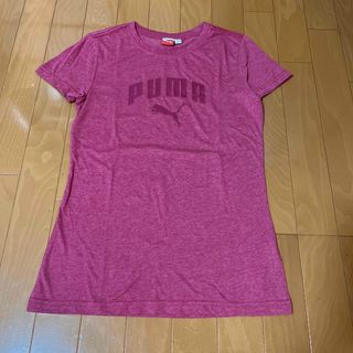 プーマ(PUMA)のPUMA Tシャツ　レディースSサイズ(Tシャツ(半袖/袖なし))