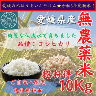 コロナ応援キャンペーン！！穂仁王式天日干しササニシキ5キロ×2袋 - 米 ...