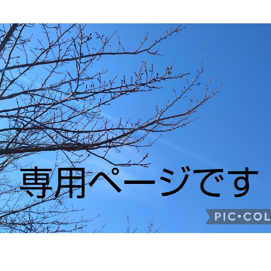 FREAK'S STORE - 別注 MACOBER ✕ FREAK'S STORE ボアフリース