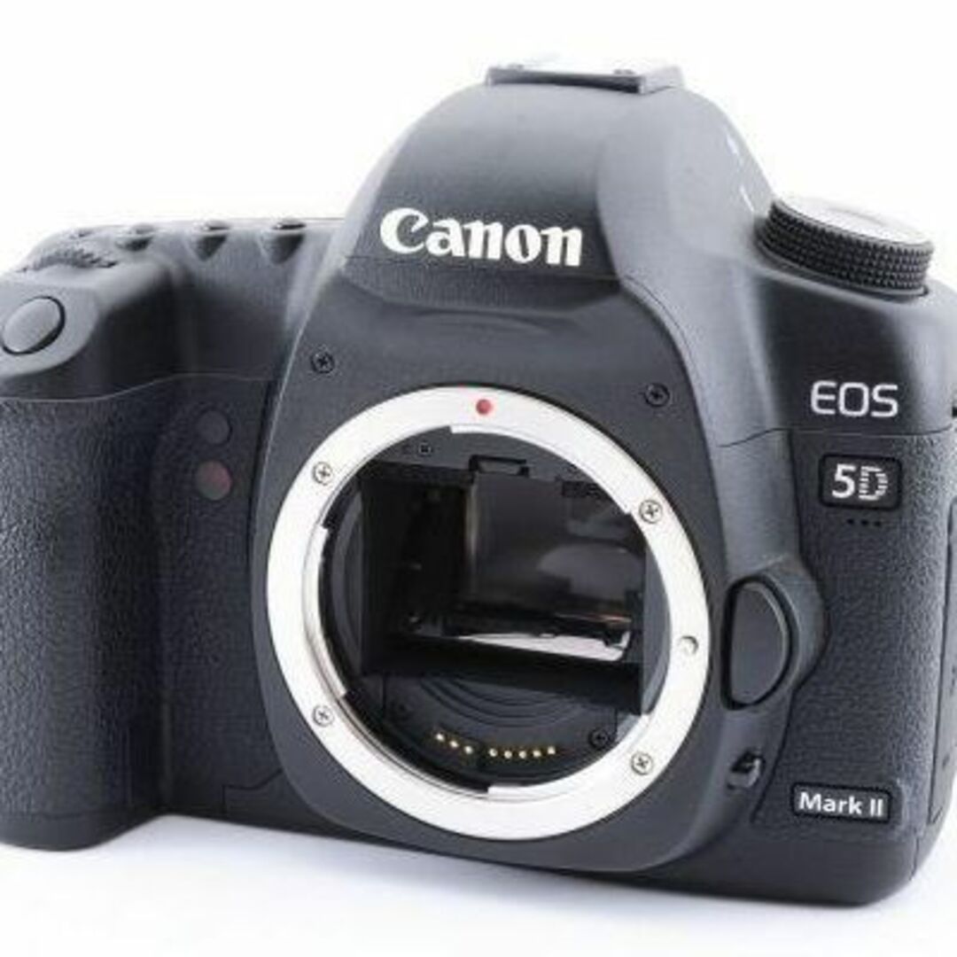 美品】キャノン Canon EOS 5D MarkII 《バッテリー&充電器