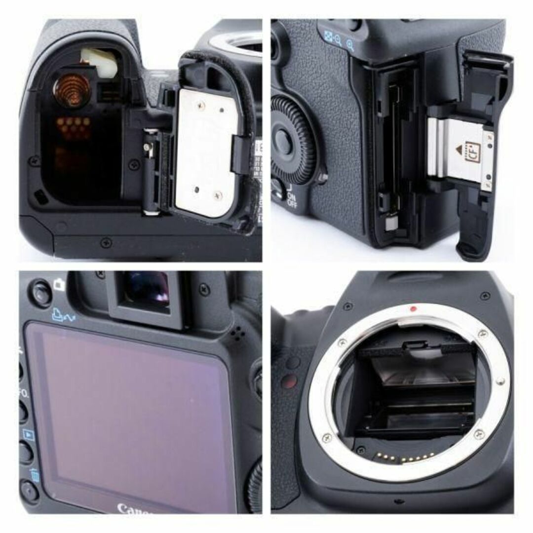 美品】キャノン Canon EOS 5D MarkII 《バッテリー&充電器
