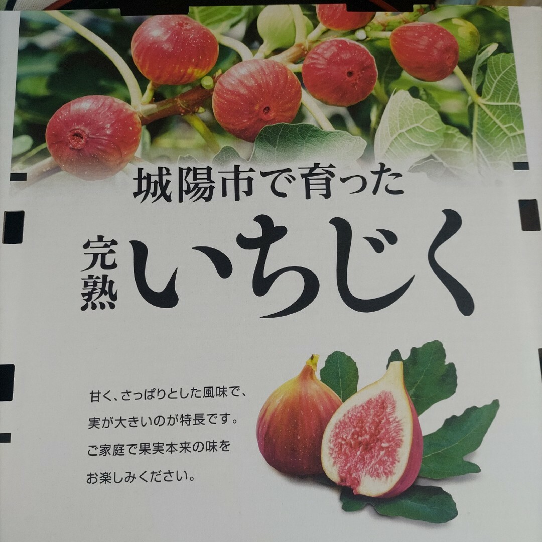 京都城陽産いちじく一箱４パック 食品/飲料/酒の食品(フルーツ)の商品写真