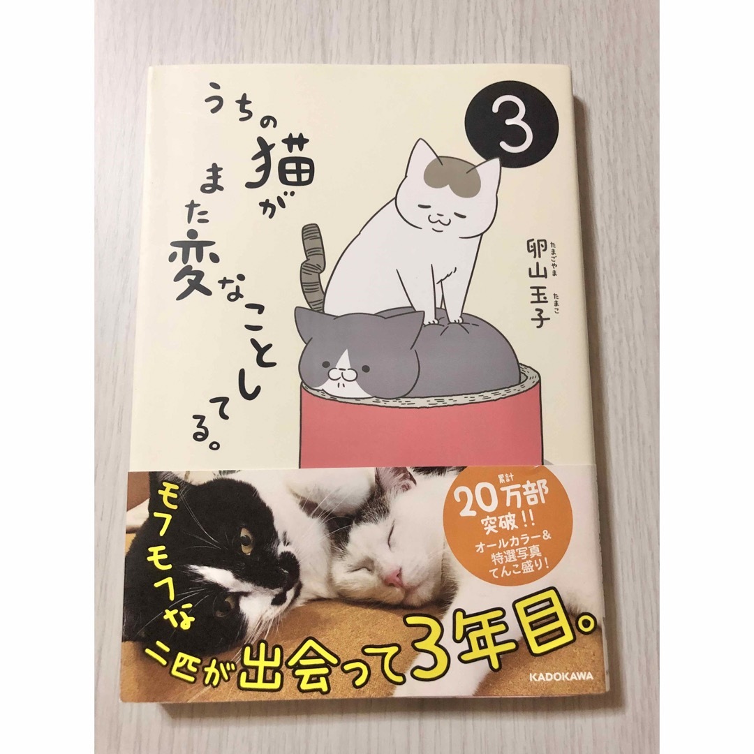 うちの猫がまた変なことしてる。1〜4巻/卵山玉子 コミックエッセイ　癒し　動物 エンタメ/ホビーの漫画(その他)の商品写真